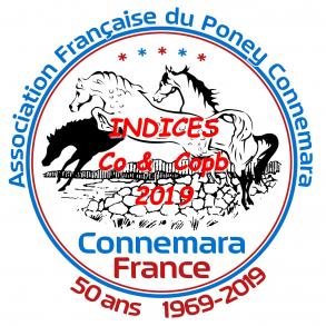 Indices Co & Copb 2019