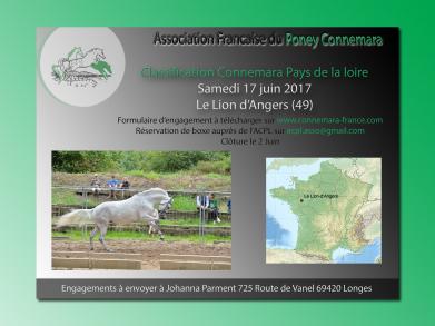 Classification 17 Juin au Lion d'Angers