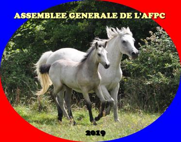 Assemblée Générale 2019 de l'AFPC 
