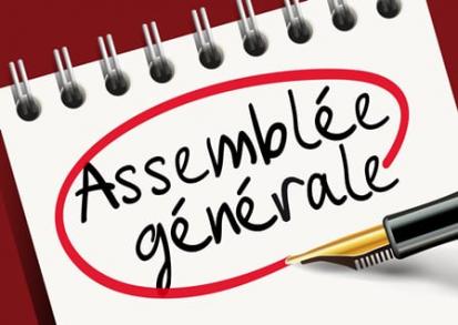 Assemblée Générale Ordinaire 2021 Compléments d'informations
