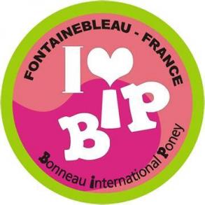 Retour du BIP 2019