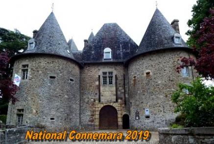 NATIONAL CONNEMARA POMPADOUR 2019