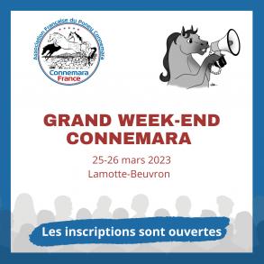 RDV les 25 et 26 mars à Lamotte Beuvron pour le grand week-end Connemara