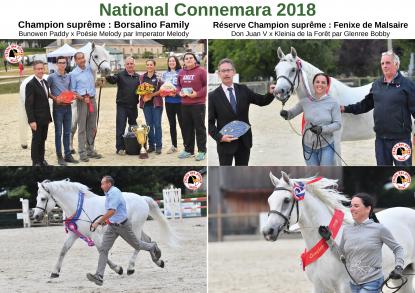 NATIONAL CONNEMARA 2018