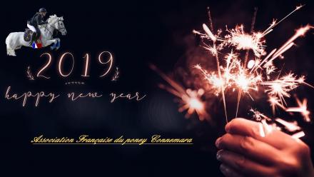 Bonne Année 2019