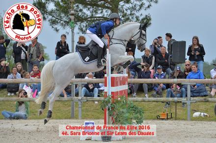 Les Connemara au Championnat de France As Elite 2016