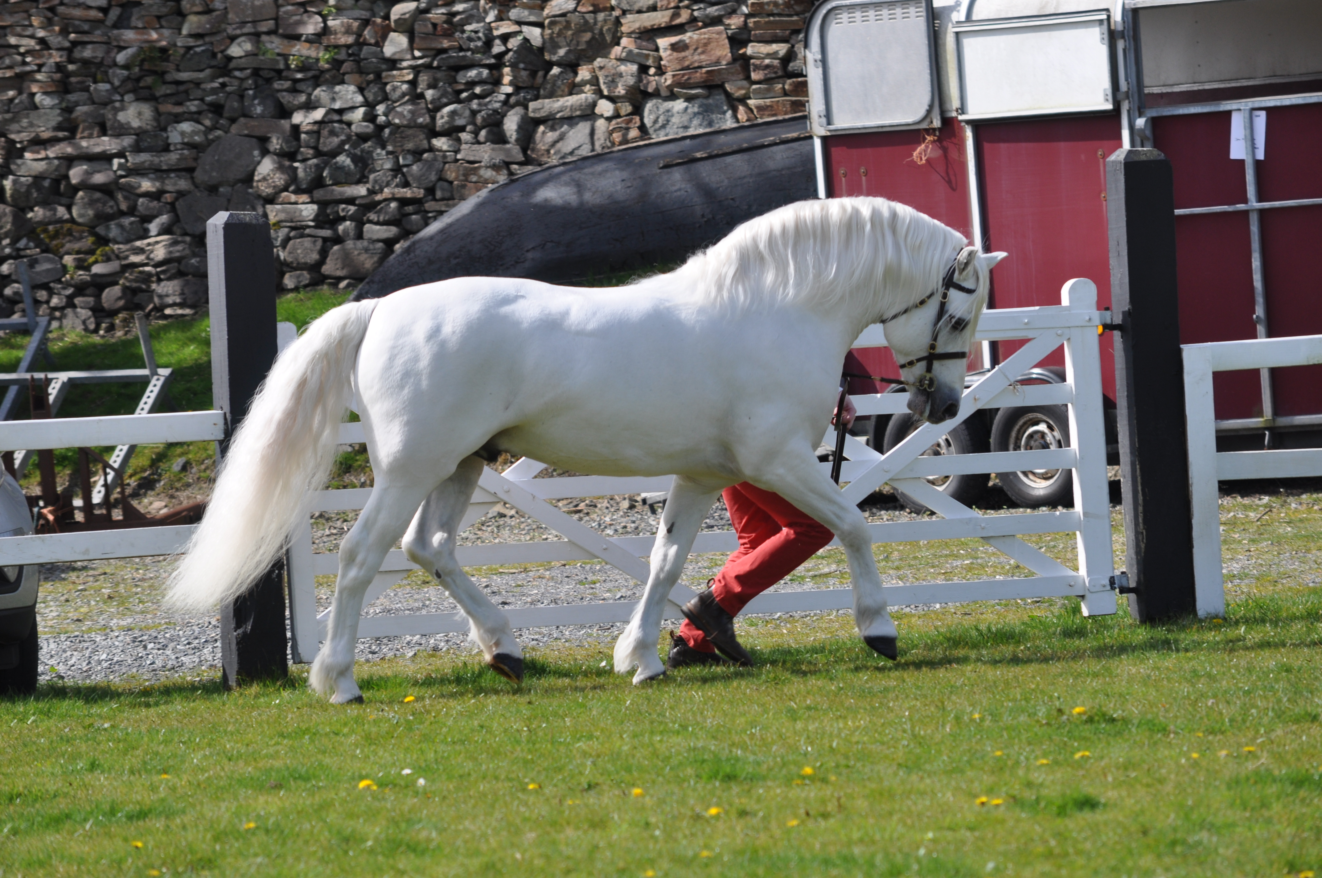 AFPC - Liste des Poneys Classifiés - Association Française du